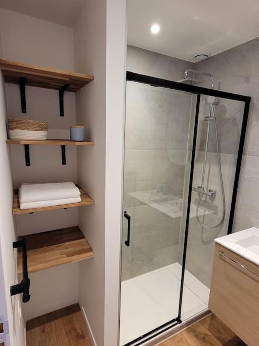 Studio 2 Voyageurs Au Coeur De Ville Sallanches Zewnętrze zdjęcie