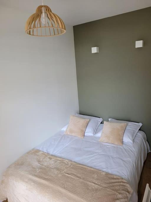 Studio 2 Voyageurs Au Coeur De Ville Sallanches Zewnętrze zdjęcie